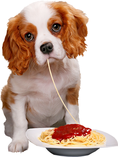 Photo of Navajo Taco